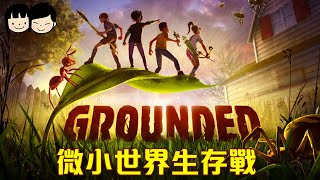 【Grounded】圍毆蘭花螳螂 被感染的育母蜘蛛虐殺 再完成MIX.R的任務 | 可明虎笨4人合作 | 微小世界生存戰 | PC🔴Live【可可遊樂場】