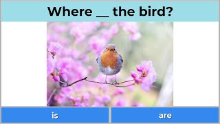 Quiz to learn English: Where is...? Where are...?