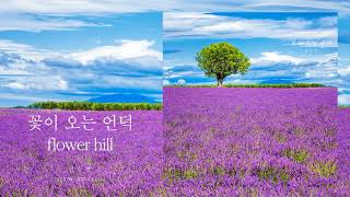 전수연 Jeon Su Yeon - 꽃이오는언덕Flower Hill)