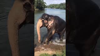 වාව් කොහොමද එයාගෙ ගැම්ම 😍😍😍🤘🤘🤘💗💗🐘🐘🐘