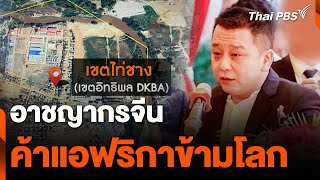 อาชญากรจีนค้าแอฟริกาข้ามโลก | ข่าวเจาะย่อโลก | 27 ก.ค. 67