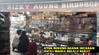 Update Minggu 21_5_2023 ready setiap hari ada bongkaran stok♦rizkyagungbirdshop bogor