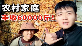 小伙家今年收获60000斤玉米，但是投入2万多，大家觉得值吗？