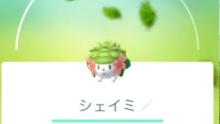 【ポケモンGO】シェイミ 個体値チャレンジ