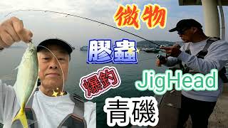 Fishing釣魚: 岸Jig青磯大爆發 - 微物膠蟲JigHead爆釣青磯 #西貢碼頭 #LightJig (片上字幕)