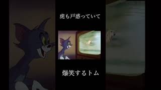 虎も戸惑って爆笑するトム #shorts #meme