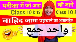 Urdu Grammar for all Exam | Wahid Jama | واحد جمع | Wahid Jama Trick | Muskaan mam #urdugrammar