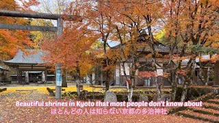 ほとんどの人は知らない京都にある多治神社　Taji Jinja Shrine in Kyoto, where autumn leaves are beautiful