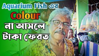 Serampore Aquarium Fish Price Update |Serampore Aquarium Fish Market | Serampore Fish Market