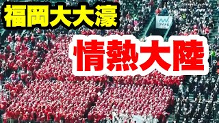 福岡大大濠 応援【情熱大陸】2017センバツ 再試合 滋賀学園戦2017.3.28　阪神甲子園球場