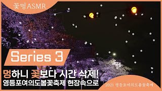 [꽃멍ASMR #3] 모두가 멈춘 새벽시간, 벚꽃거리는?