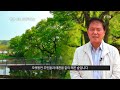 산림문화자산 ④편 정자와 숲의 조화 함평 나산 모정마을숲 🌲