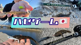 簡単にルアーでハゼが釣れる⁉️逆五目ハゼ釣り