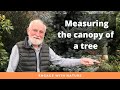 Measuring the canopy of a tree