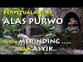 Berpetualang ke Alas Purwo, BIKIN MERINDING  #wonderfulindonesia #alaspurwo #wibikembara