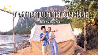 จุดกางเต็นท์ วนอุทยานเขาตาม่องล่าย  ประจวบคีรีขันธ์ | JAMTOOKTEE