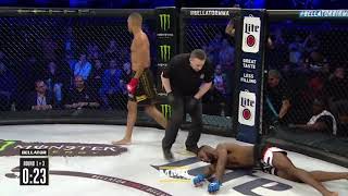 Raymond Daniels Delivers Spectacular Knockout at Bellator Birmingham - MMA Fight