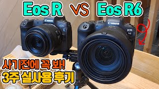 캐논 EOS R6 3주 실사용 후기 리뷰! R VS R6 4k, 손떨방, 발열까지 모두 비교 테스트