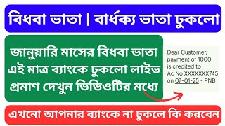 বিধবা ভাতার টাকা এই মাত্র ব্যাংকে ঢুকলো প্রমাণ দেখুন | Widow Pension Credited in Bank account