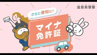 ☆マイナ免許証いよいよスタートします！！☆