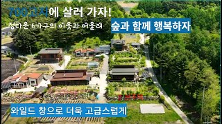 평창,해발700고지의 6가구 정답게 살고있는 청정 전원주택 . 넓은대지와 건축면적. 숲세권