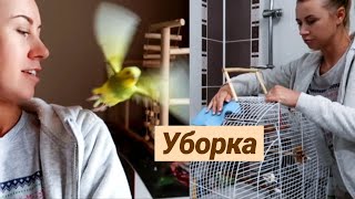 ГЕНЕРАЛЬНАЯ УБОРКА У ТОШИ и ЛАЙМЫ