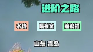 把房车改成猫舍，钓鱼收养流浪猫，陪他们过个温暖的寒冬！今天又发现一个别人打的隔夜窝！解锁秋冬钓鱼爆护的秘密 在冬日阳光下钓个鱼吧 佳钓尼小冈豆野战蓝鲫 原来钓鱼才是抖音运动顶流