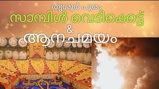 thrissur pooram ആന ചമയം \u0026 സാമ്പിൾ വെടിക്കെട്ട് 2022 #paramekkavu #thiruvambadi