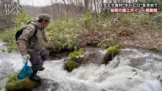 【山菜】秘密の極上ポイントへ‼️行者にんにく、キトピロ、アイヌネギ、春野菜、春の恵み