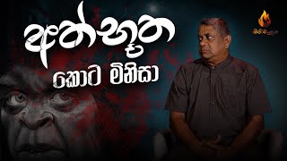 අත්භූත කොට මිනිසා | GINIMALAYA