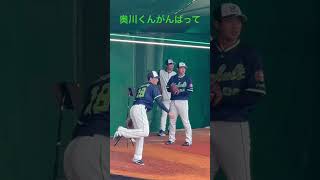 奥川恭伸選手がんばって！ドキドキヤクルトスワローズ一軍キャンプ