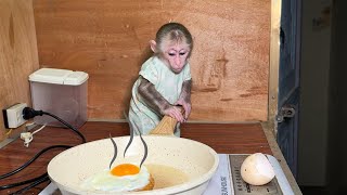 NANA the monkey helps dad make breakfast so smart