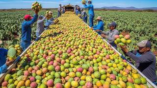 100+ Harvest Wins 💥 Massive Fruit & Veggie Hauls That Shocked American Farmers - Relaxing Harvest
