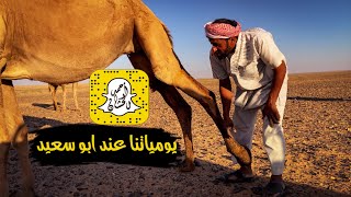 يسكن الصحراء والأبل عائلته: الحلقـ(27)ـه