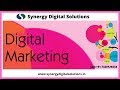 Best Digital Marketing Agency in Madurai - SEO | SEM | SMM - Synergy Digital Solutions