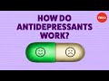 Ted & ED Podcast | ༻How do antidepressants work - Neil R. Jeyasingam.༻❣ #Ted&EDPodcast❣