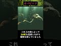 【閲覧注意】怖すぎる…絶滅して良かった古代生物３選　 動物 ゆっくり解説 古代生物 shorts