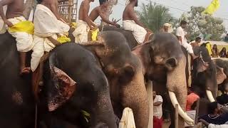 Pooram kodiyettu ശ്രീകാര്യം ചെല്ലമംഗലം പകൽ പൂരം ഭാഗം മൂന്ന്