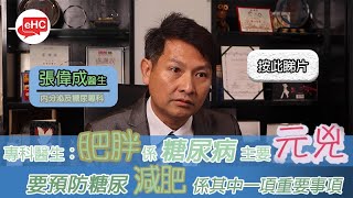 【胰臟】醫健頻道｜糖尿病年輕化，應如何避免？ - 張偉成醫生@