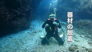 水中BCD脱着(浮力調整装置)ディーズパルス沖縄