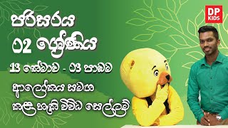 13 වන තේමාව - 03 වන පාඩම | ආලෝකය සමඟ කළ හැකි විවිධ සෙල්ලම් | 02 ශ්‍රේණිය පරිසරය