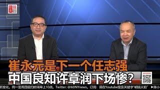 何频 陈小平：崔永元成为下一个任志强，中国良知公民许章润下场如何？