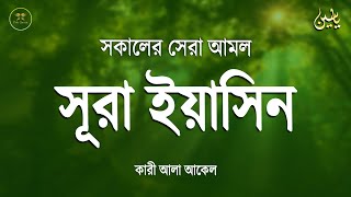 সকালের শ্রেষ্ঠ আমল সুরা ইয়াসিন মায়াবী তিলাওয়াত l Surah Yaseen l amol l سوره يس Record by Alaa Aqel