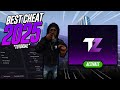 How To Buy & Install Best FiveM PvP Cheat Of 2025 (TZX External)
