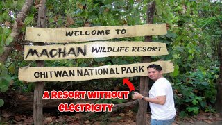 A Unique Experience at Machan Wildlife Resort, Nepal