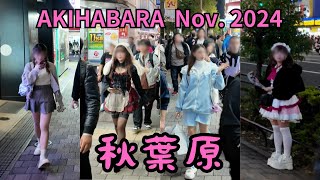 [東京散歩 4K] 秋葉原 AKIHABARA / Nov. 2024 (1)  [WALK TOKYO]