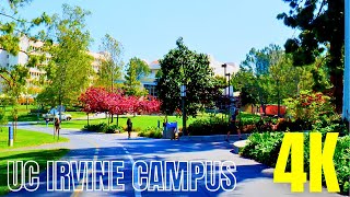 UC Irvine and University Town Center Full Walking Tour