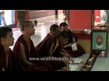 monks of mindrolling monastery gather for evening prayer