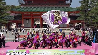 佛教大学よさこいサークル紫踊屋　2018京都さくらよさこい3/31(土)　神宮道スペシャルステージ