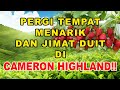 [MESTI TENGOK] Tempat Best Di Cameron Highland yang Jimat Masa dan Duit Korang!